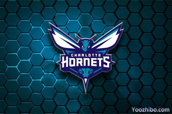 2019-2020赛季<a href=/lanqiubisa/hornets/ target=_blank class=infotextkey>黄蜂</a>队队徽